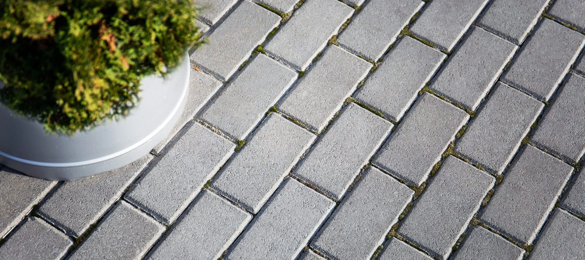 Тротуарна плитка Кирпичик - фото 1