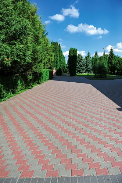 Гантель цвет: Cерый, Красный