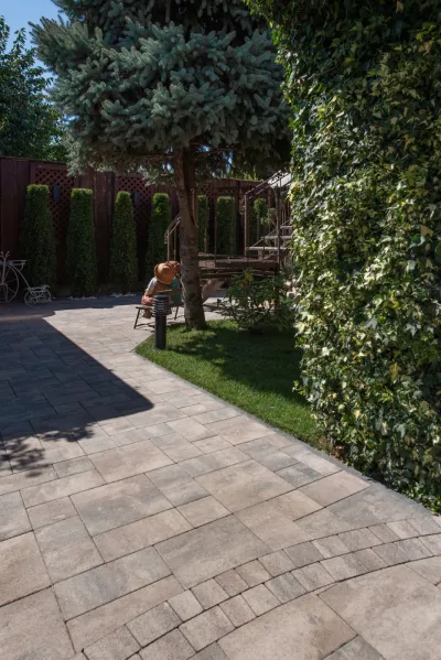 Рокко колір: Ферум / Торні колір: Сепія